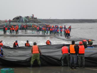 ���ͼƬ�鿴����